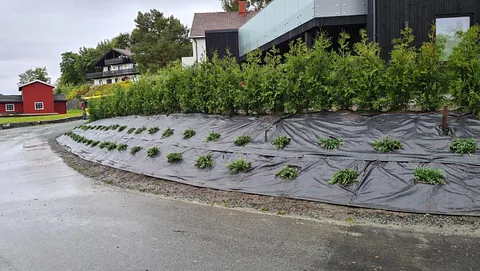 Vaktmester- og gartneroppdrag